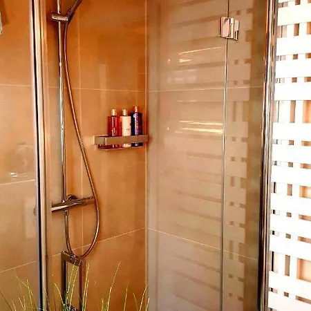 Apartment Altstadtapartment An Der Kraemerbruecke Nr.2 Erfurt