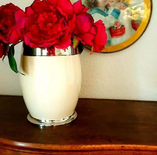 Altstadtapartment An Der Kraemerbruecke Nr.2 Appartement